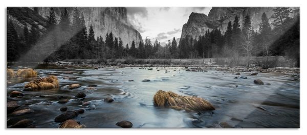 seichter Fluss im Wald, Glasbild Panorama Angebot