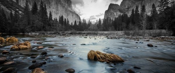 seichter Fluss im Wald, Glasbild Panorama Angebot – Bild 5