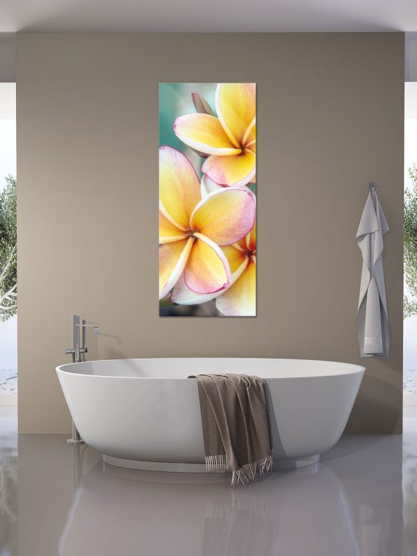 Monoi Blüten auf Hawaii, Glasbild Panorama Zu verkaufen – Bild 4