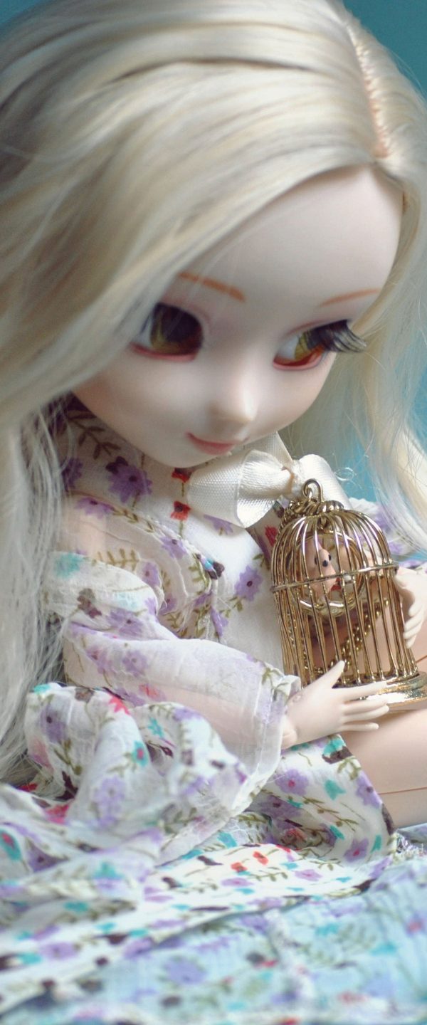 blonde Pullip-Puppe mit Vogelkäfig, Glasbild Panorama Online-Schn?ppchen – Bild 5