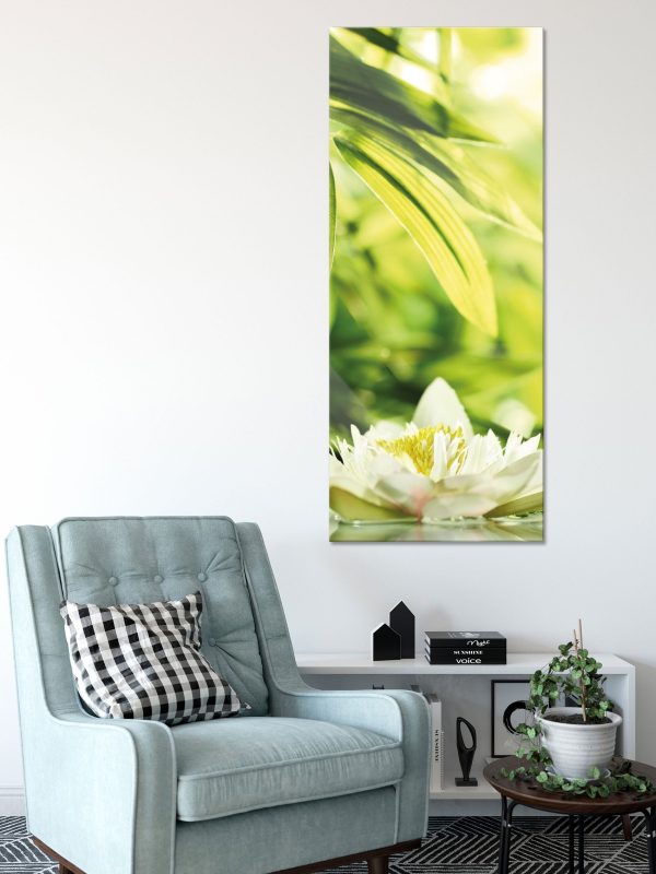 Weiße Seerose im Wasser Wellness, Glasbild Panorama Jetzt online – Bild 2