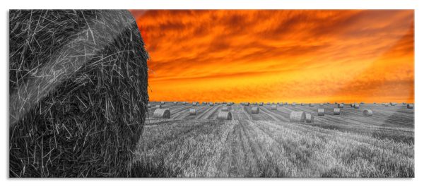 Sonnenuntergang Feldlandschaft, Glasbild Panorama Online-Verkauf