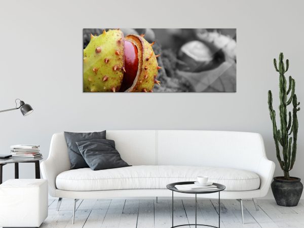Kastanie schaut aus ihrer Schale, Glasbild Panorama Online – Bild 2