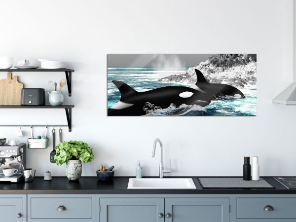 schöne Orcas vor Insel, Glasbild Panorama Verkauf – Bild 3