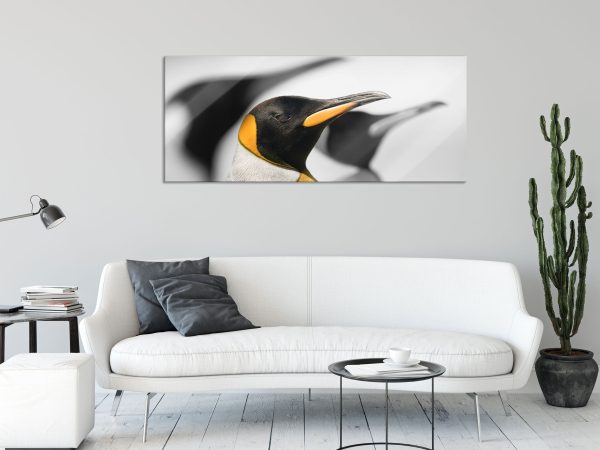 wunderschöne Kaiserpinguine, Glasbild Panorama Rabatt – Bild 2
