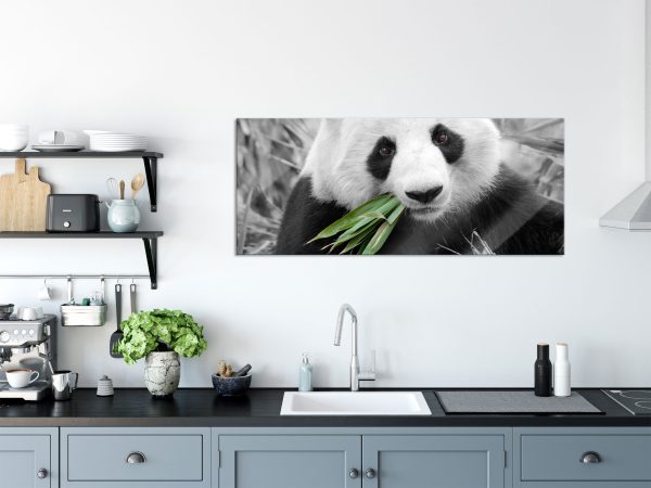 kuscheliger Panda frisst Bambus, Glasbild Panorama Rabatt – Bild 3