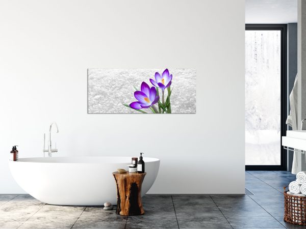 Lila Schnee Krokusse, Glasbild Panorama Online – Bild 4