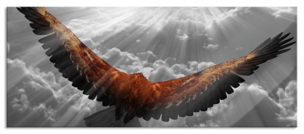 anmutiger Adler über den Wolken, Glasbild Panorama Zu verkaufen