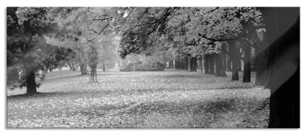 schöner Park im Herbst, Glasbild Panorama Rabatt