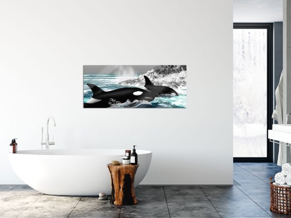 schöne Orcas vor Insel, Glasbild Panorama Verkauf – Bild 4