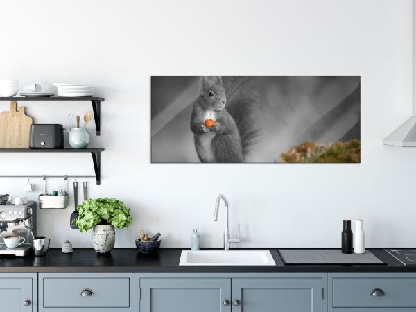 süßes Eichhörnchen mit Nuss, Glasbild Panorama Verkauf – Bild 3