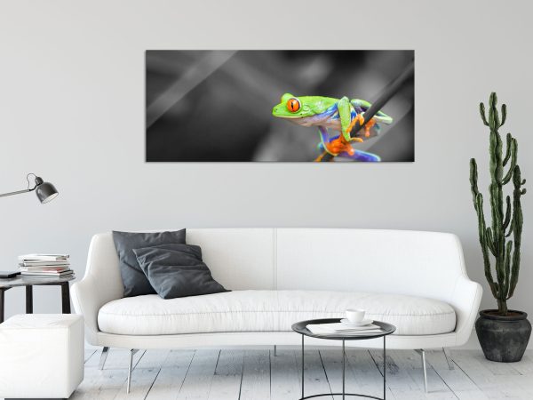 kleiner Frosch auf Zweig, Glasbild Panorama Online-Schn?ppchen – Bild 2