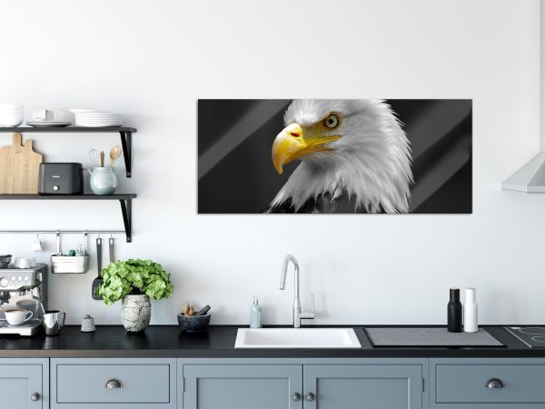 eindrucksvoller Weißkopfseeadler, Glasbild Panorama Jetzt online – Bild 3