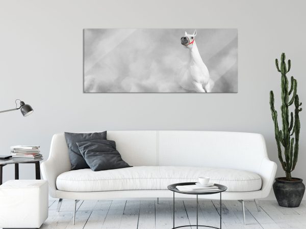 weißer Hengst in der Wüste, Glasbild Panorama Verkauf – Bild 2