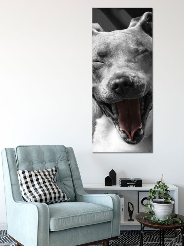 Lachender Pitbull, Glasbild Panorama Zu verkaufen – Bild 2