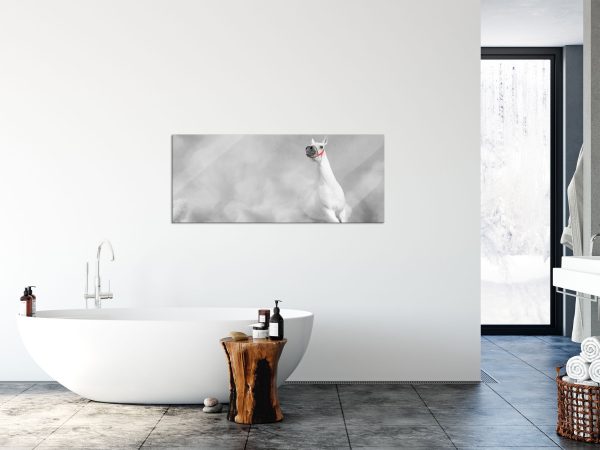 weißer Hengst in der Wüste, Glasbild Panorama Verkauf – Bild 4