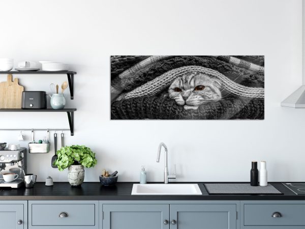 stinkige Katze zwischen Pullovern, Glasbild Panorama Verkauf – Bild 3