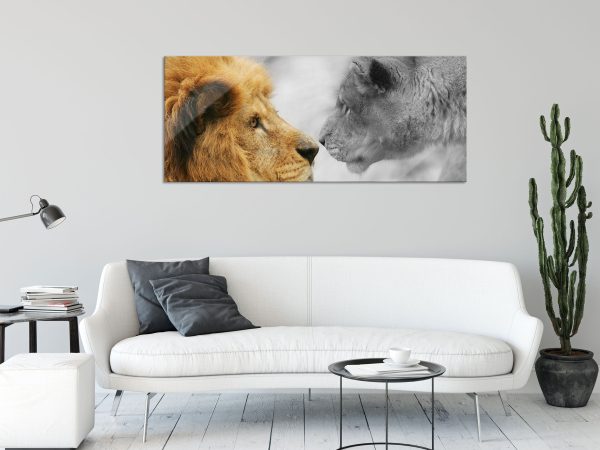 schönes verliebtes Löwenpaar, Glasbild Panorama Rabatt – Bild 2