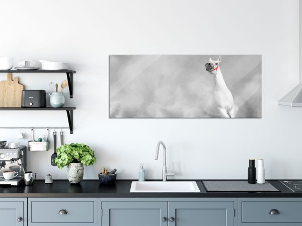 weißer Hengst in der Wüste, Glasbild Panorama Verkauf – Bild 3